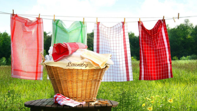 Technology has Changed Laundry and Cleaning Business: Here’s how!